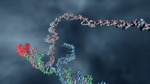 A programming language for composable DNA circuits