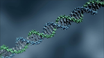 Predicting DNA hybridization kinetics from sequence